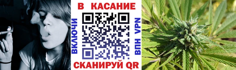 Продажа наркотиков Щёкино гидра как зайти  Alpha PVP  МЕФ  Гашиш  Каннабис  COCAIN 