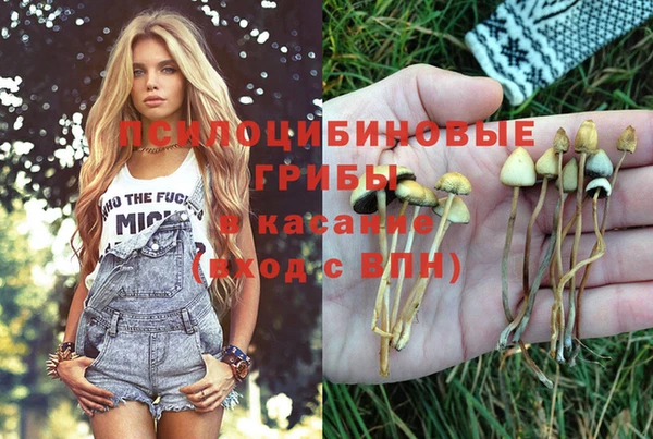 apvp Вязьма