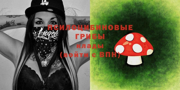 apvp Вязьма