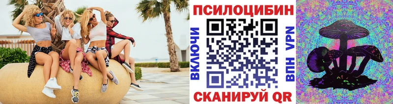Псилоцибиновые грибы мицелий  Щёкино 